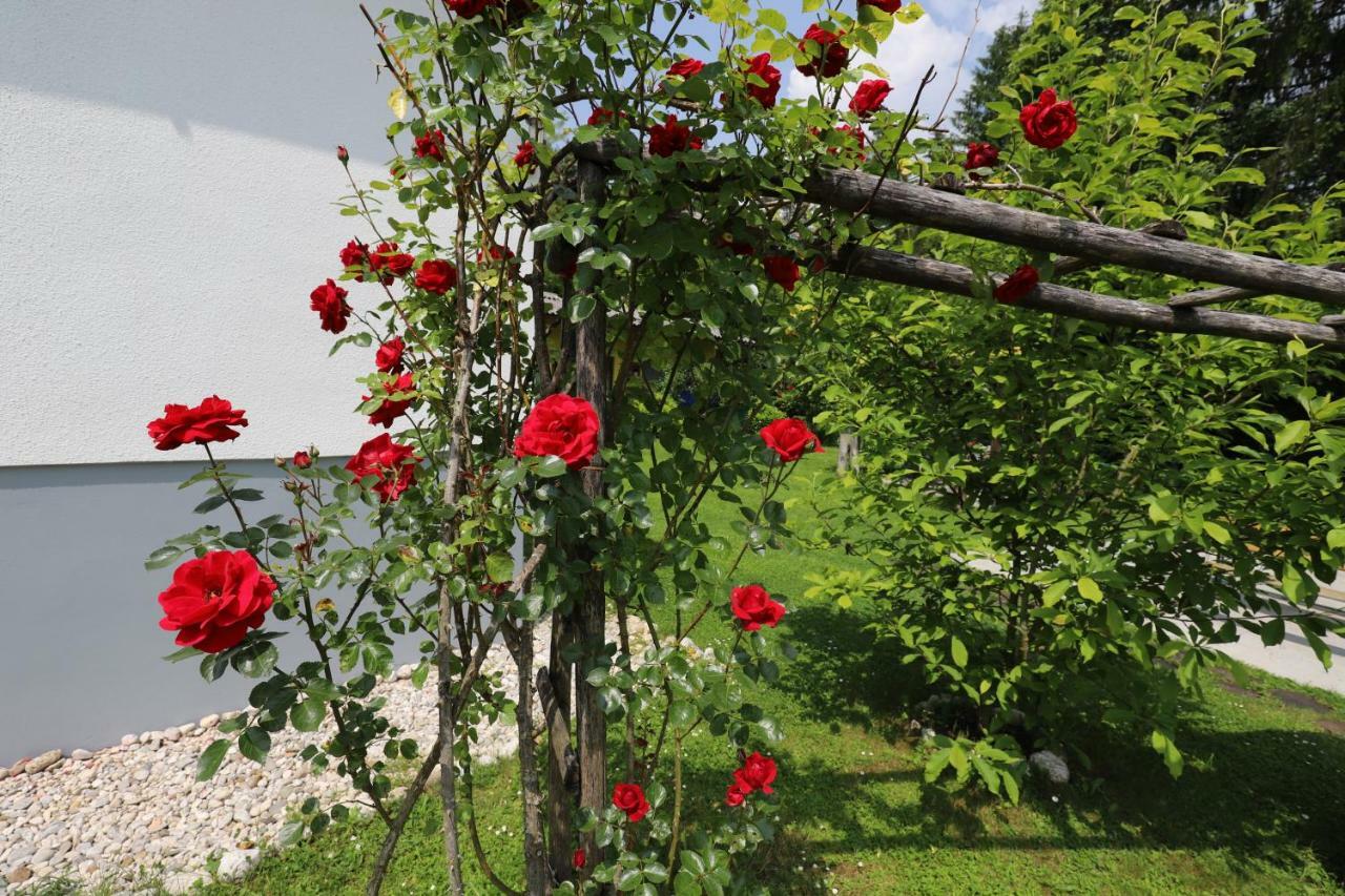 Adventure Cottage With Pool And Big Garden Bled Eksteriør bilde